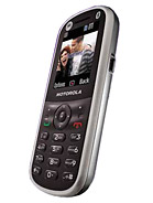 Best available price of Motorola WX288 in Gz